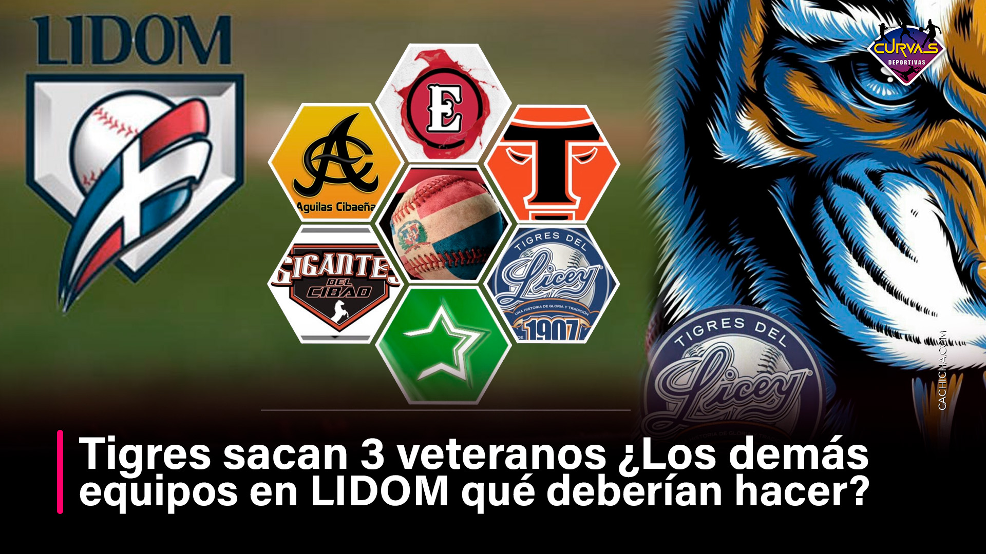 Tigres Sacan 3 Veteranos ¿Los Demás Equipos En LIDOM Qué Deberían Hacer?