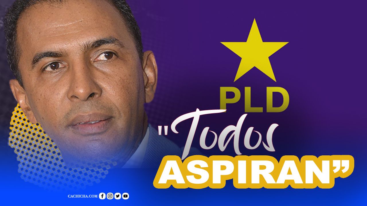 Renovación Y Aspiraciones En El PLD | Tu Mañana By Cachicha