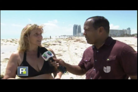 Tony Dandrades Con Las Imágenes De La Devastación En Miami Beach