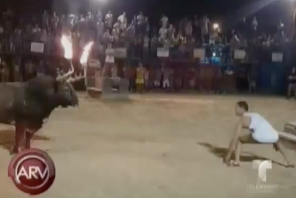 Hombre Queda Inconsciente Después De Provocar A Un Toro Con Los Cuernos Prendidos En Fuego