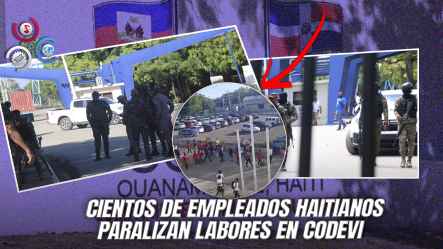Trabajadores Haitianos Protestan En CODEVI Contra Presunta Retención De Impuestos