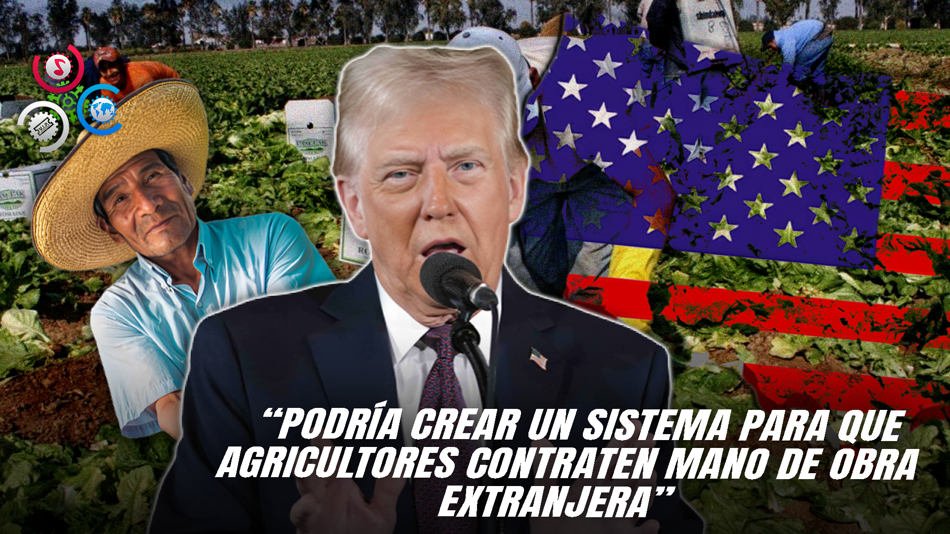 Agricultores Podrían Contratar Migrantes Sin Temor A Deportaciones, Propone Trump