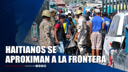 Haitianos Se Aproximan A La Frontera | Tu Tarde By Cachicha