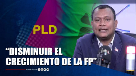 Manuel Rojas Dice Que El PLD Tiene Que Disminuir El Crecimiento De La FP | Tu Tarde By Cachicha