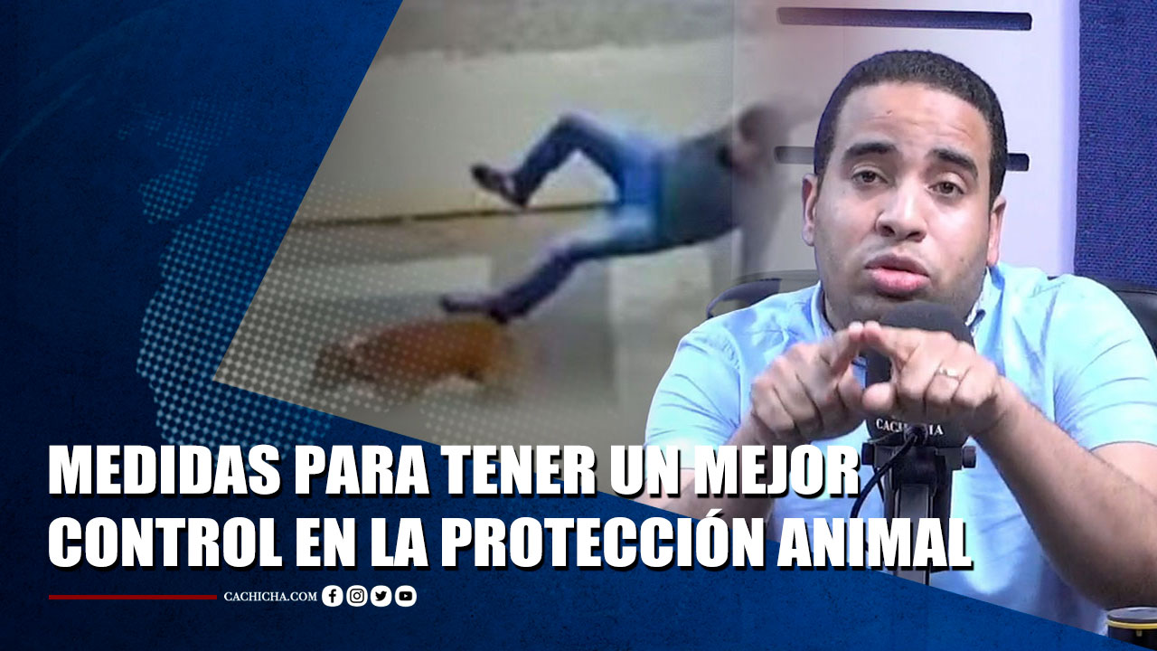 Sandy Saviñon Sobre La Debilidad De La Protección De Los Animales En RD | Tu Tarde By Cachicha