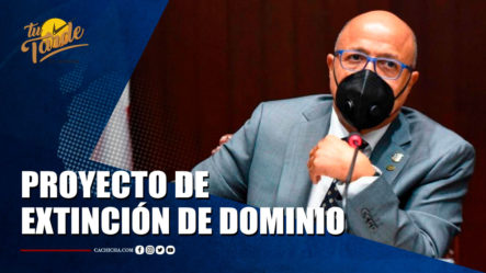 Pacheco: No Será Posible Aprobación Proyecto De Extinción De Dominio En Esta Legislatura | Tu Tarde By Cachicha