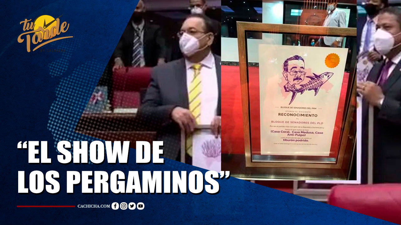 PRM Responde En El Senado Y Entrega 3 Placas Al PLD Como “El Más Corrupto De La Historia” | Tu Tarde By Cachicha