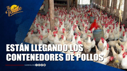 Ministro De Agricultura Dice Ya Están Llegando Los Contenedores De Pollos Para Abastecer A La Población | Tu Tarde By Cachicha 