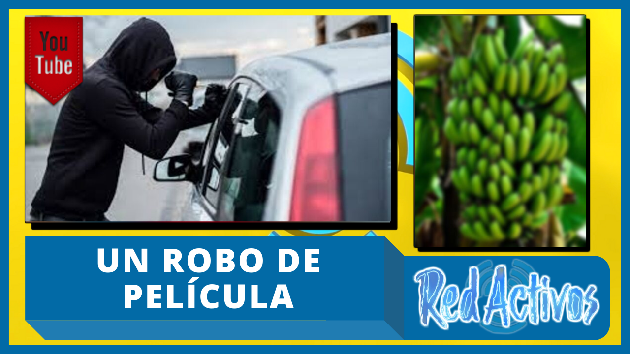 ¡Increíble! Jóvenes En Santiago Realizan Un Robo De Película “mira Todo Lo Que Se Llevaron”