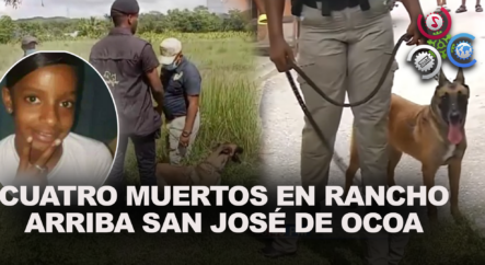 Unidades Caninas Buscan Rastros De Niña Desaparecida En San Cristóbal