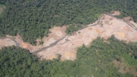 Crece La Minería Ilegal En La Amazonía Ecuatoriana