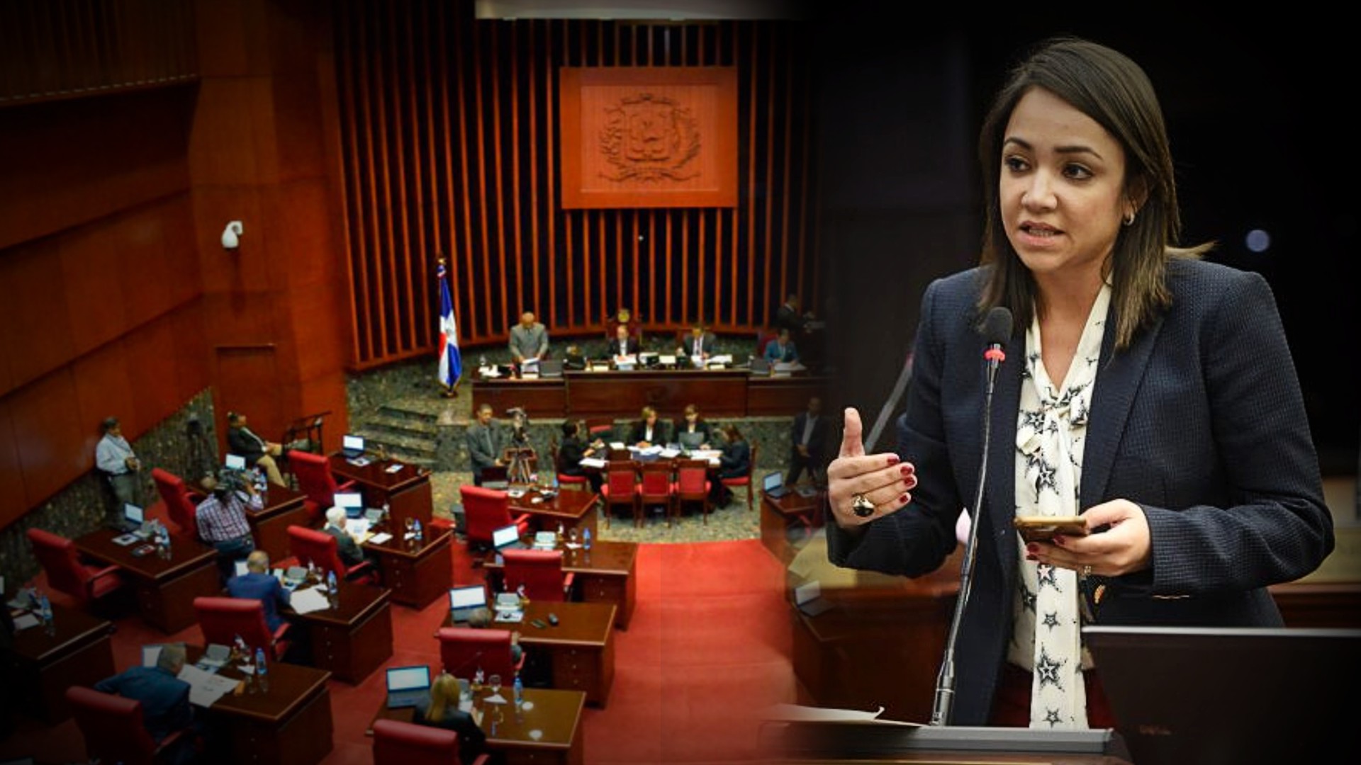 El Reto De Un Nuevo Congreso Con Importantes Leyes Que Se Mantienen En El Olvido