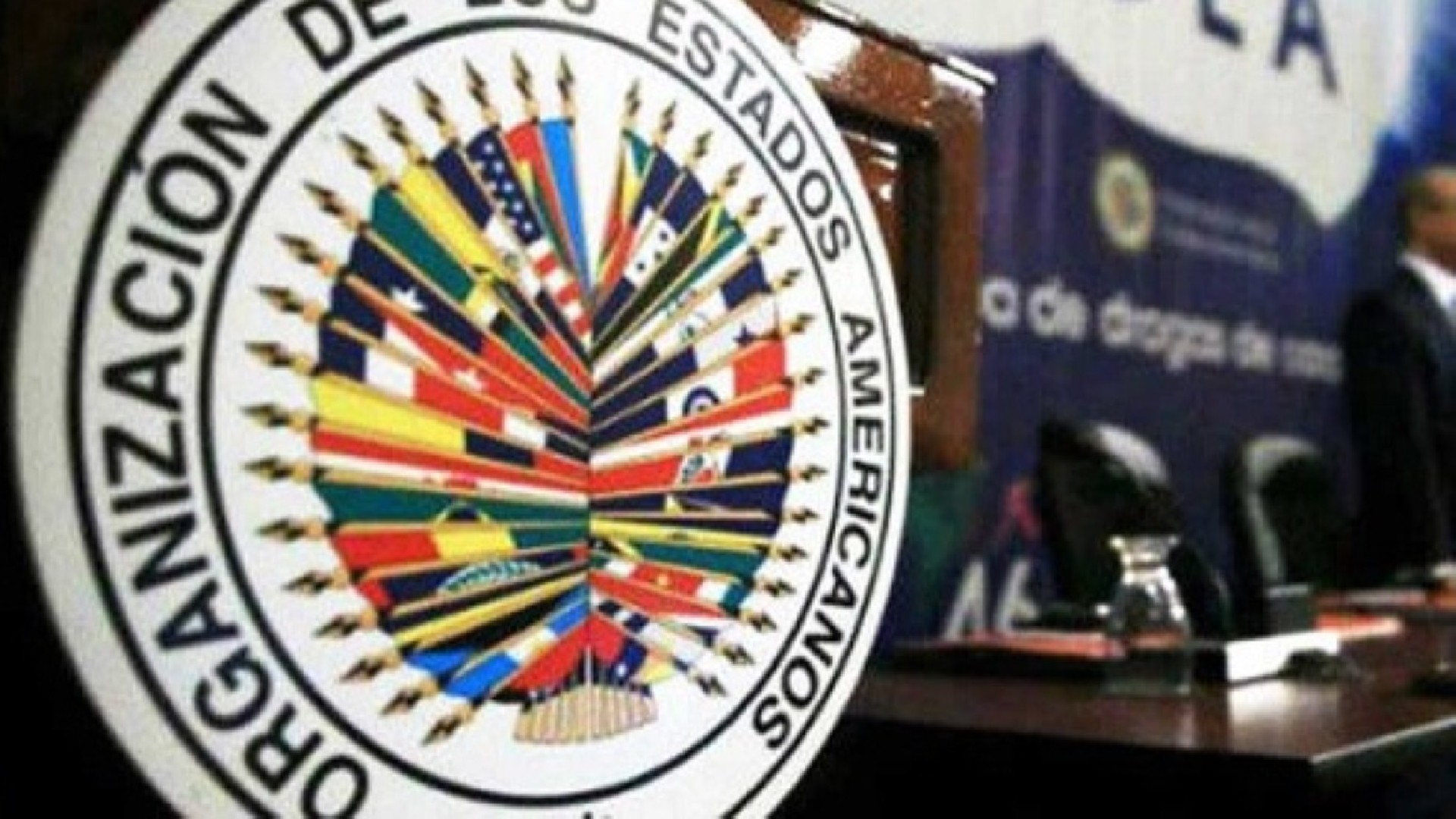 ¿Qué Dice El Informe De La OEA?