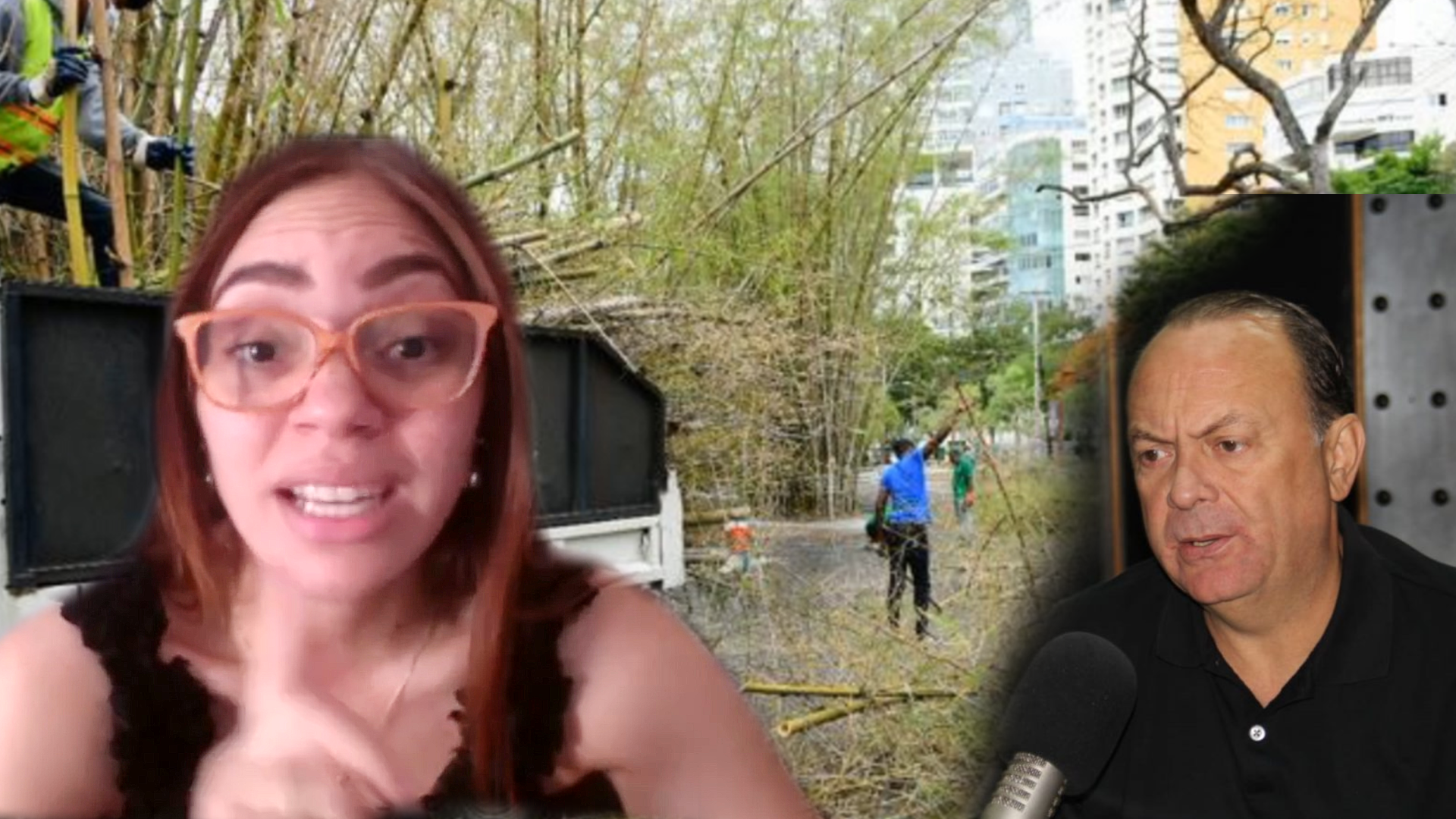 Mira Lo Que Causó La Tala De Bambúes En El Parque Iberoamericano Con Ramón Hipólito