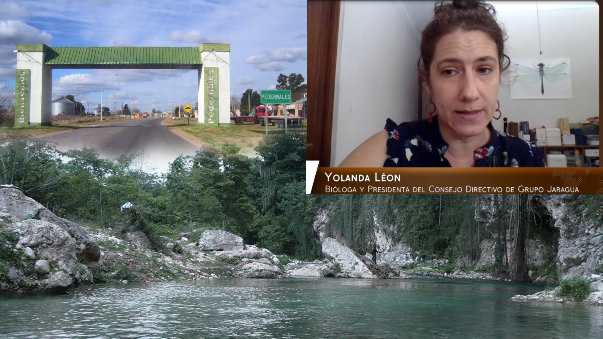 El Problema Agropecuario Para El Turismo En Pedernales