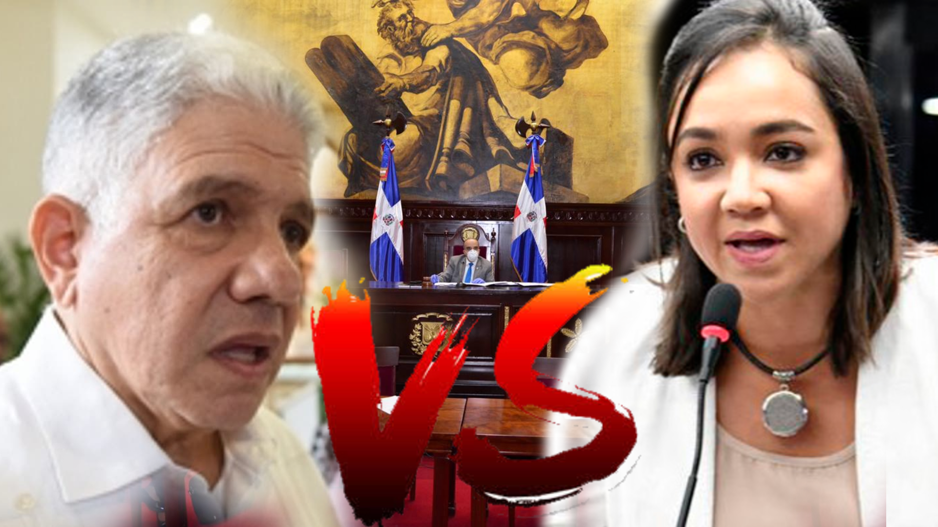 La Razón Por La Cual Faride Raful No Podría Ser Presidenta Del Senado