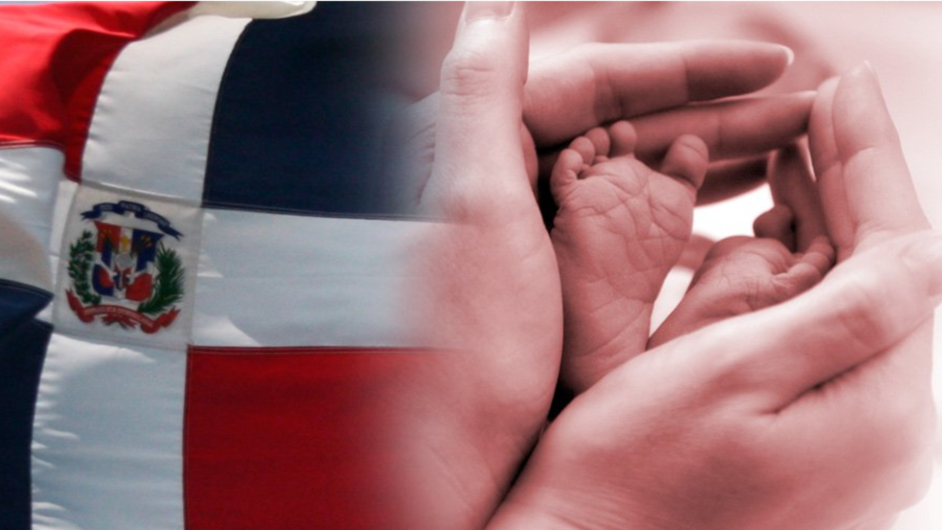 El Dilema De Las Tres Causales Y El Proyecto De Código Penal Sin El Tema De La Despenalización Del Aborto