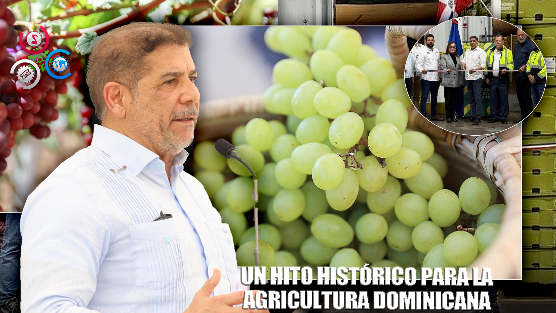 Uvas Dominicanas Llegan Por Primera Vez A EE. UU.