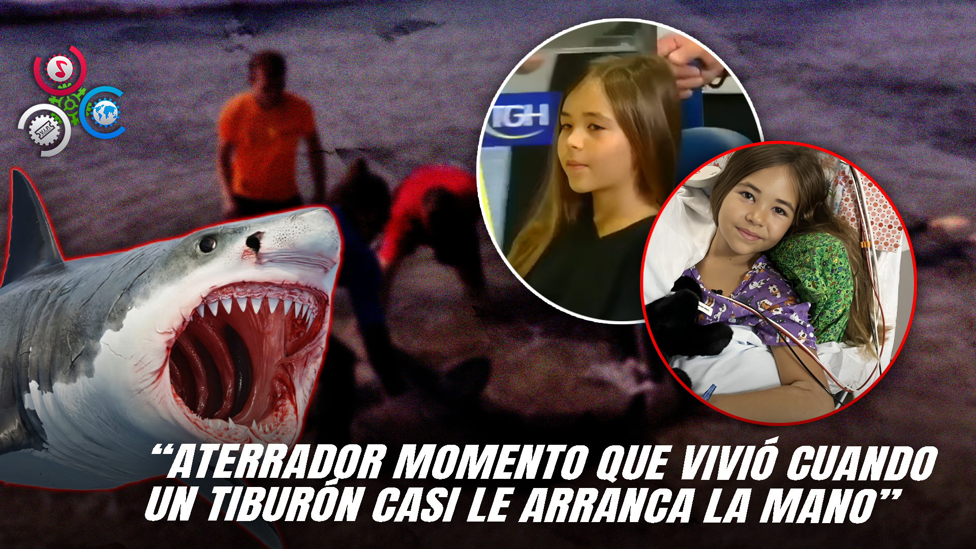 Valiente Testimonio De Una Niña De 9 Años Tras Sobrevivir A Un Ataque De Tiburón