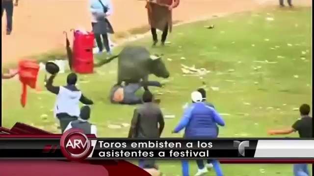Captado En Cámara Varios Toros Embisten A 8 Personas En Una Fiesta De Perú #Video