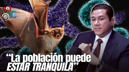 Viceministro De Salud Eladio Pérez Dice Es Poco Probable Llegada De Virus Nipah Al País