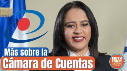 Vicepresidenta Cámara De Cuentas Habla De La Crisis