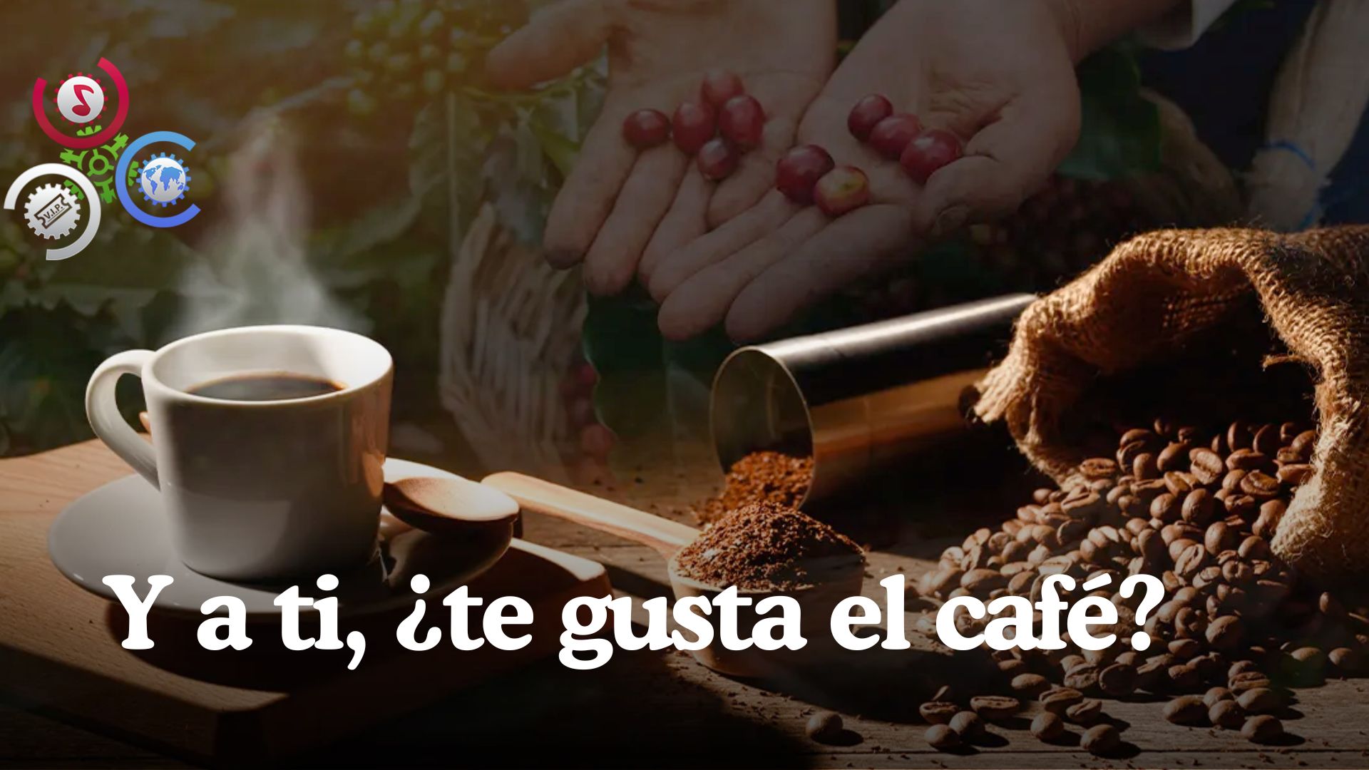 11 De Abril: DÍA NACIONAL DEL CAFÉ, ‘Bebida Amada Por Los Dominicanos’