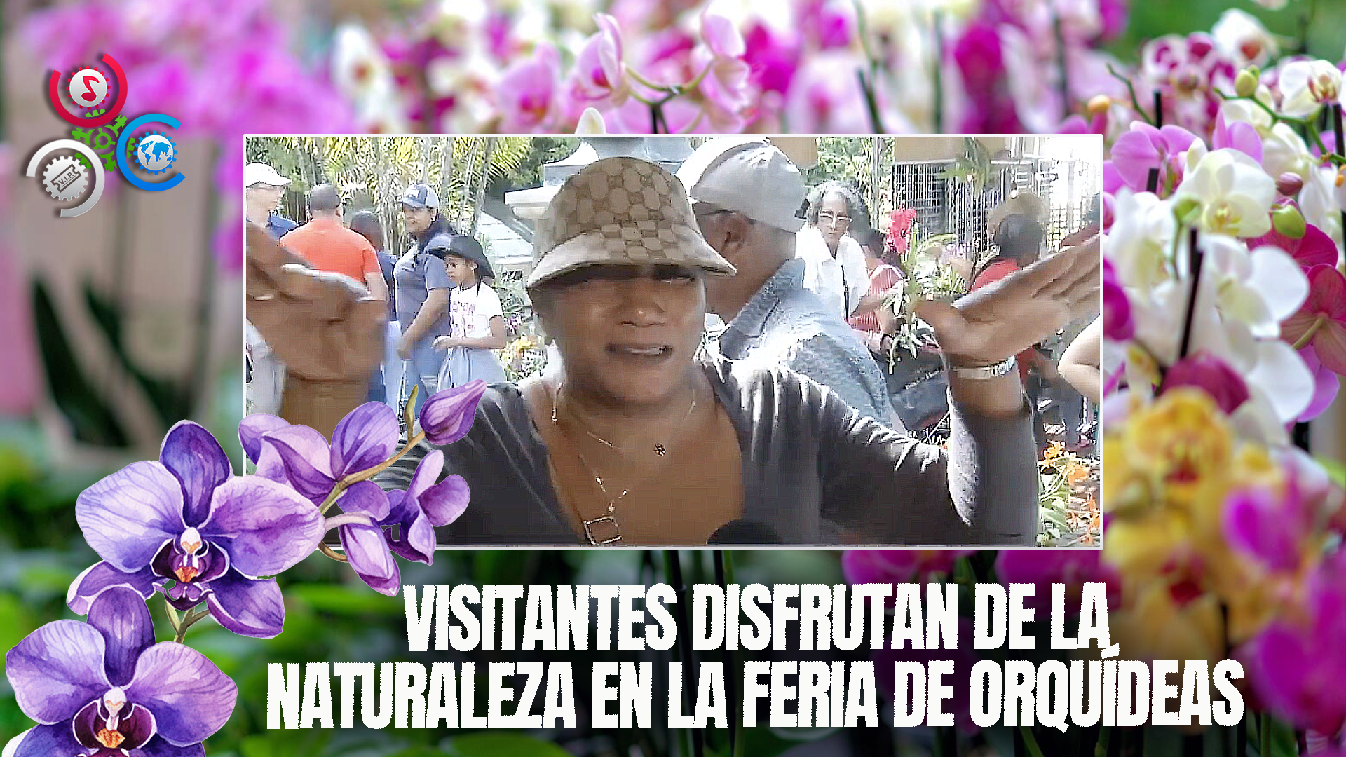 Visitantes Encuentran En La Feria De Orquídeas Un Espacio De Conexión Con La Naturaleza