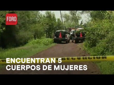 Encuentran Cuerpos De Cinco Mujeres Maniatadas En Guanajuato, México
