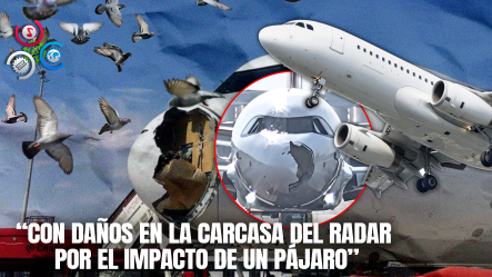 Vuelo De Iberia Regresa De Emergencia A Madrid Tras Choque Con Ave