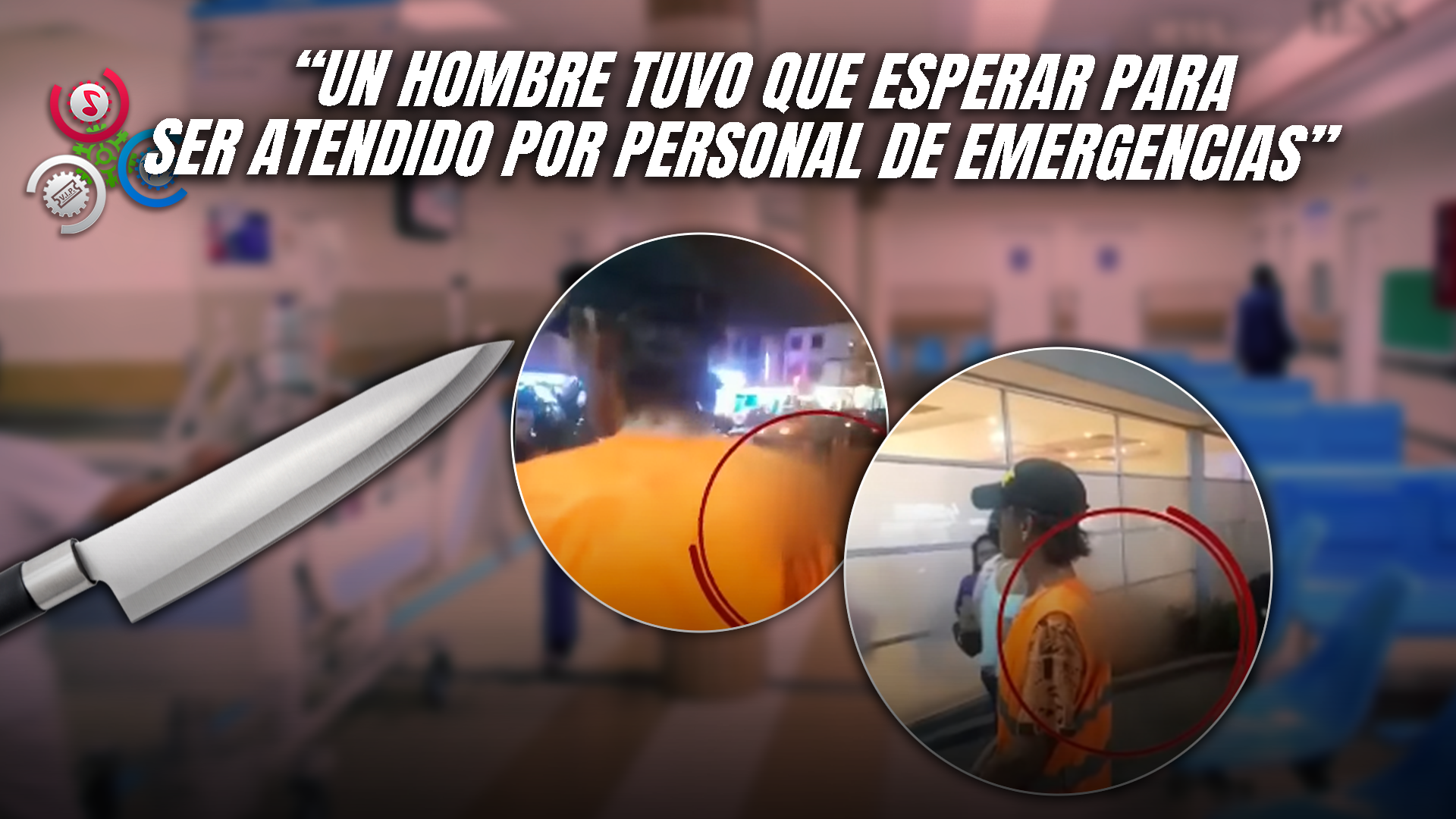 Presidente Abinader Crea El Parque Nacional Hoyo Del Pino Para Proteger Ecosistemas