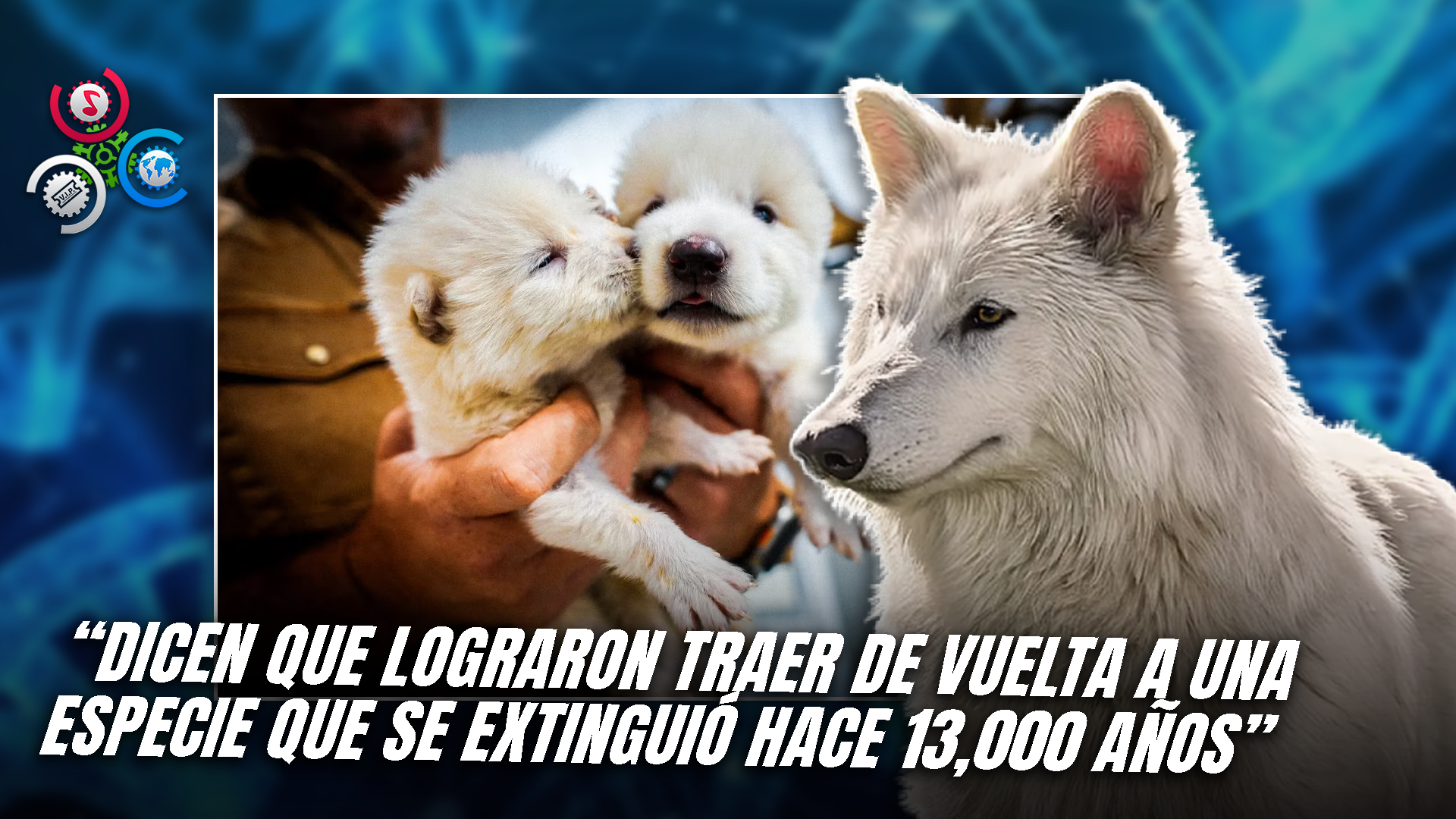 Maggie Smith, La Emblemática Profesora ‘McGonagall’ De Harry Potter, Muere A Los 89 Años