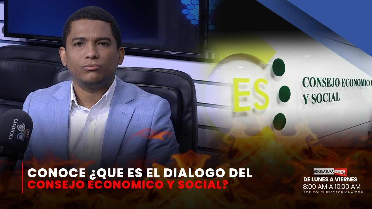 ¿Qué Es El Diálogo Consejo Económico Y Social? | Asignatura Política
