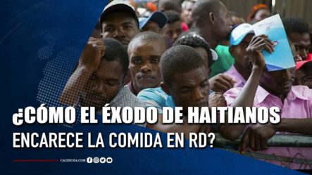 Como El éxodo De Haitianos Encarecen La Comida En RD | Tu Tarde