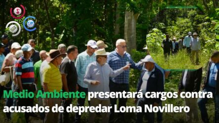 Medio Ambiente Presentará Cargos Contra Acusados De Depredar Loma Novillero