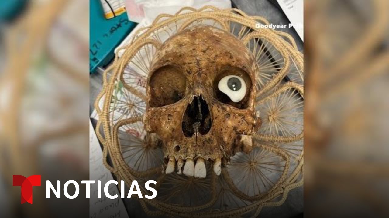 Encuentran Un CRÁNEO HUMANO En Una TIENDA De Arizona