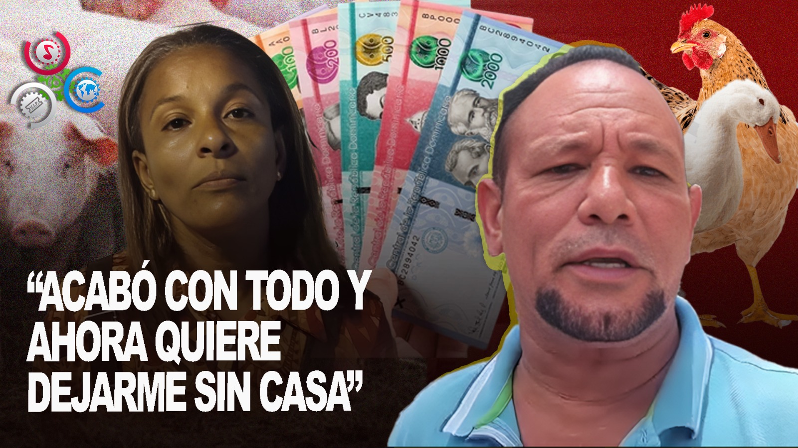 Hombre Denuncia A Expareja Por Robo De Puercos, Gallinas, Patos Y Hasta Incluso Su Propia