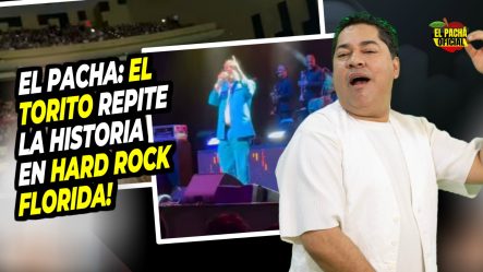 El Pacha: El Torito Repite La Historia En Hard Rock Florida