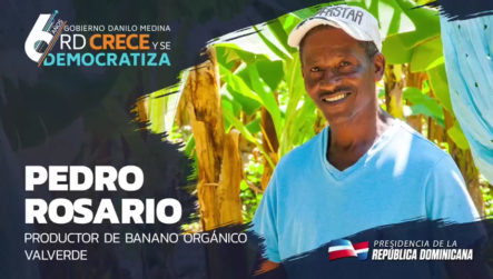 La Producción De Banano Orgánico En Valverde Ha Sido De Lo Mejor En Los últimos 6 Años.