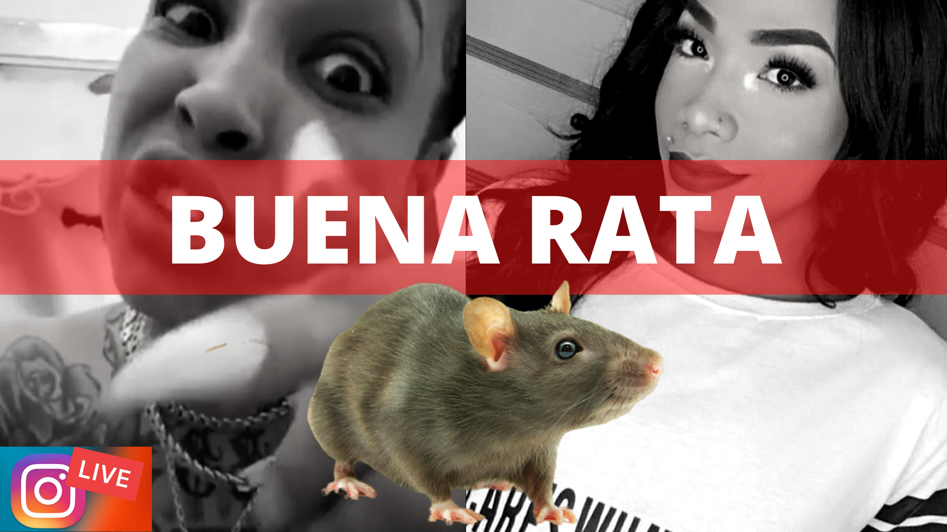 La Mami Jordan LE DICE DE TODO A La Shakata – LIVE INSTAGRAM| Brechan2