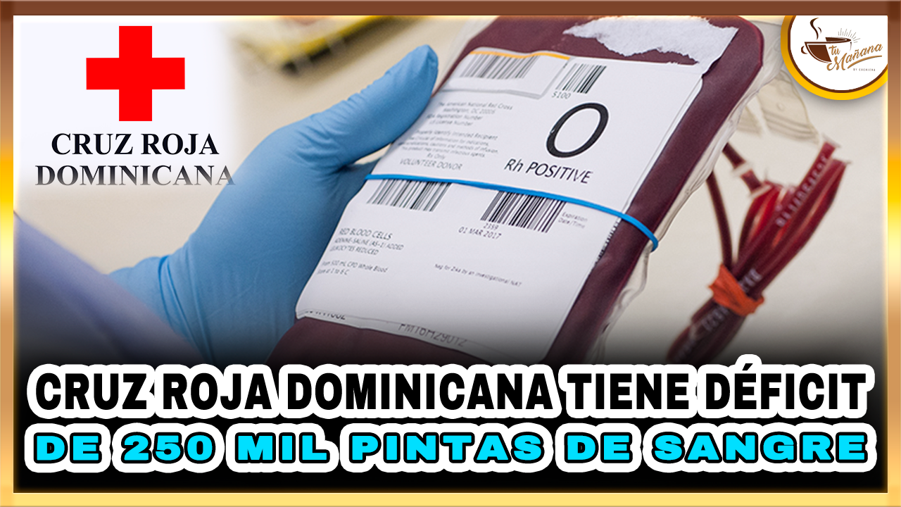 Cruz Roja Dominicana Tiene Déficit De 250 Mil Pintas De Sangre | Tu Mañana By Cachicha