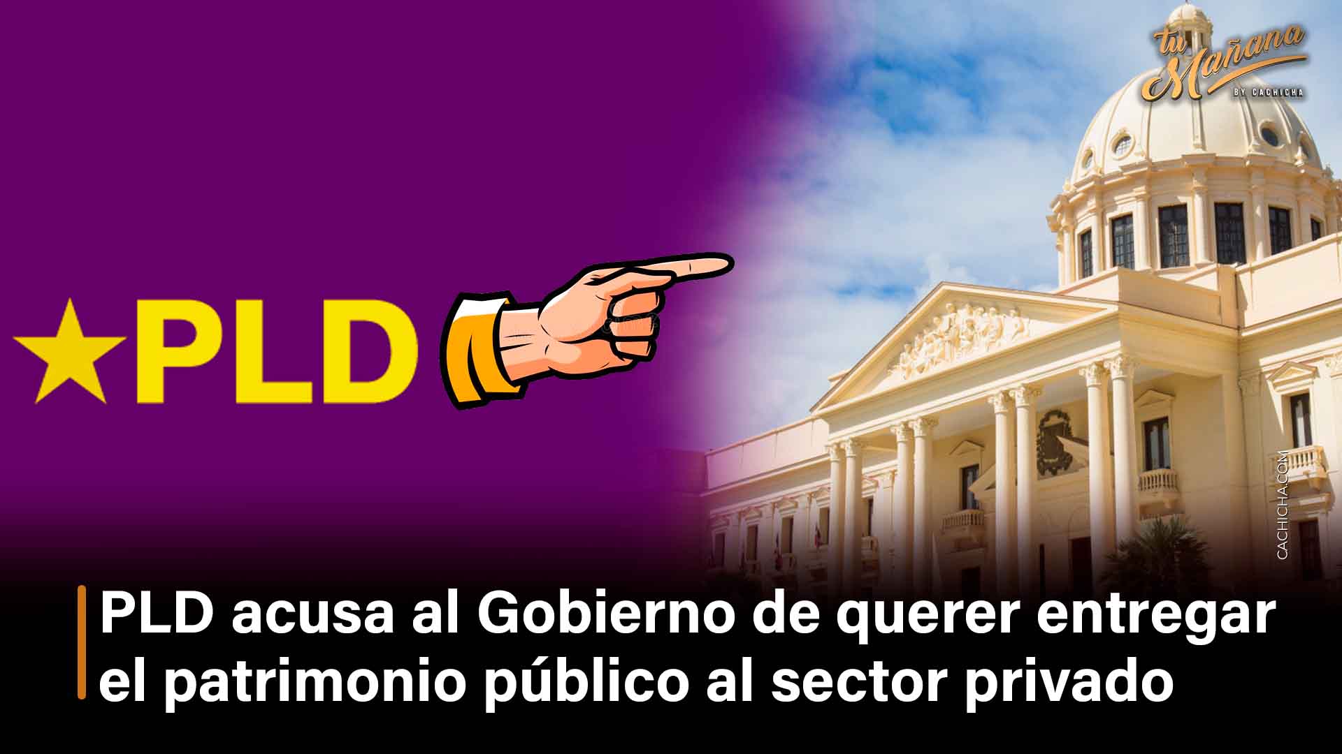 PLD Acusa Al Gobierno De Entregar Patrimonio Público Al Sector Privado