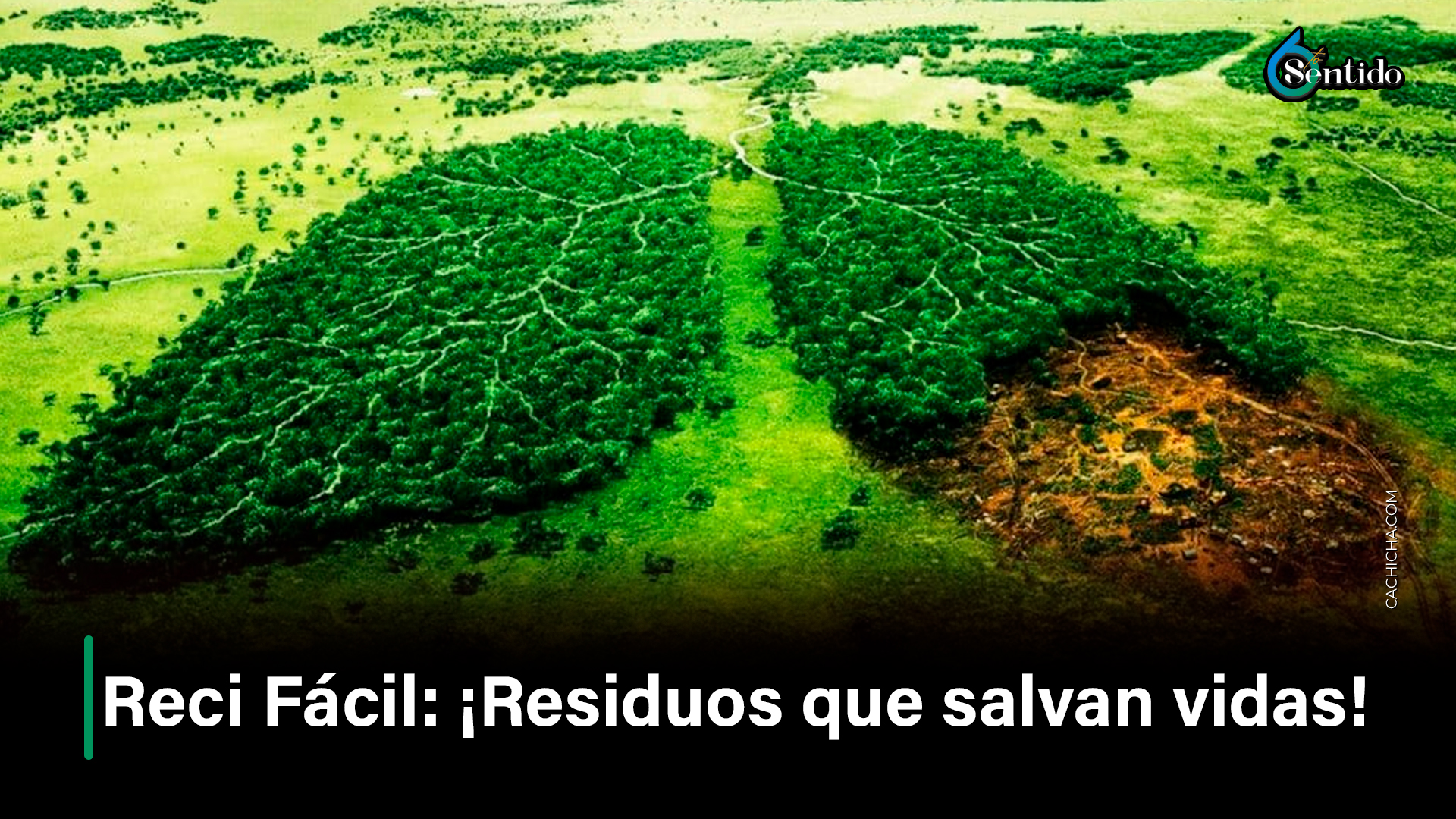 Reci Fácil: ¡Residuos Que Salvan Vidas! | 6to Sentido