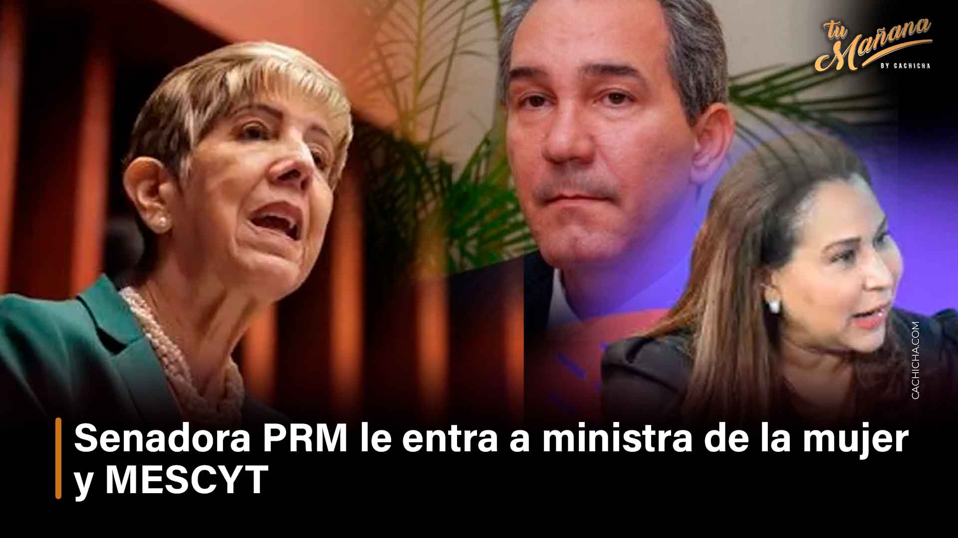 Senadora PRM Le Entra A Ministra De La Mujer Y MESCYT | Tu Mañana By Cachicha