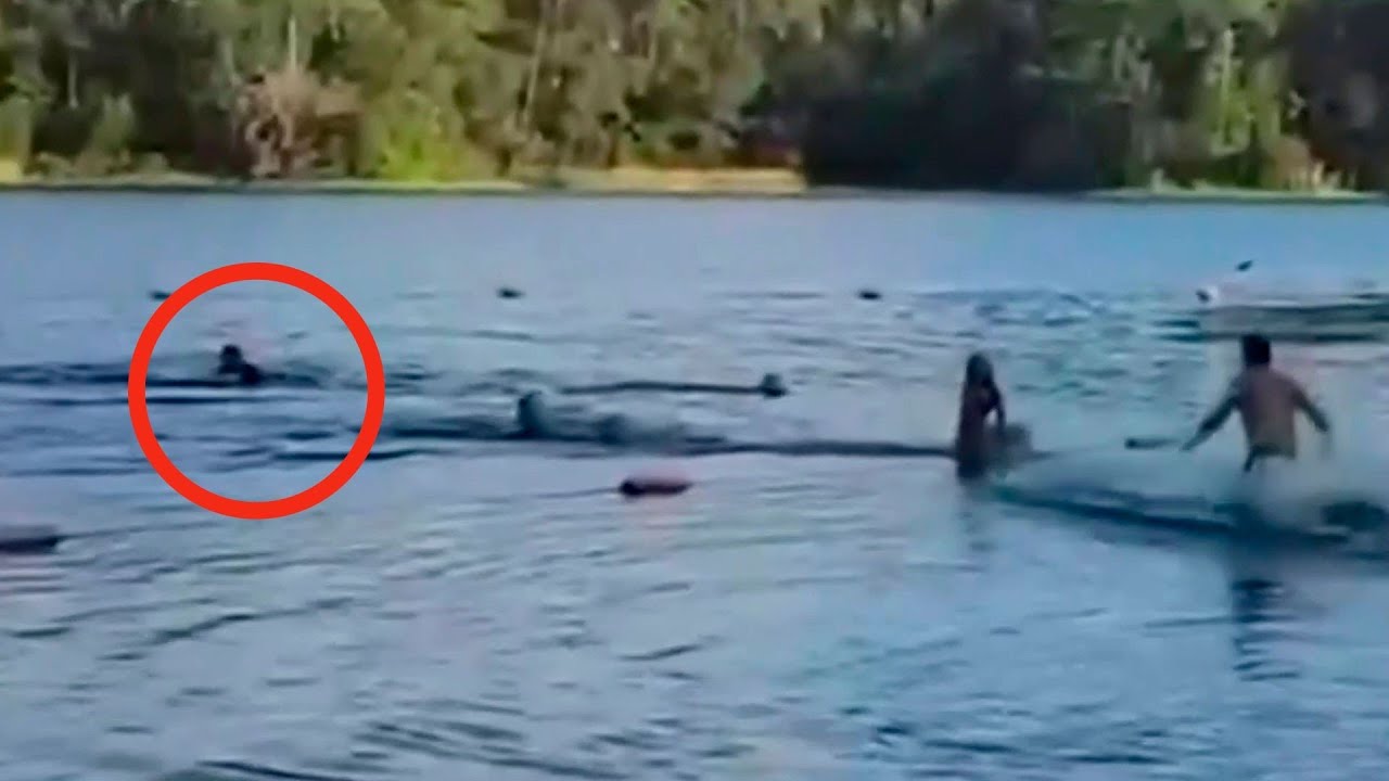 Tremendo Susto Se Llevaron Unas Niñas Al Percatarse Que Nadaban Muy Cerca De Un Inmenso Caimán