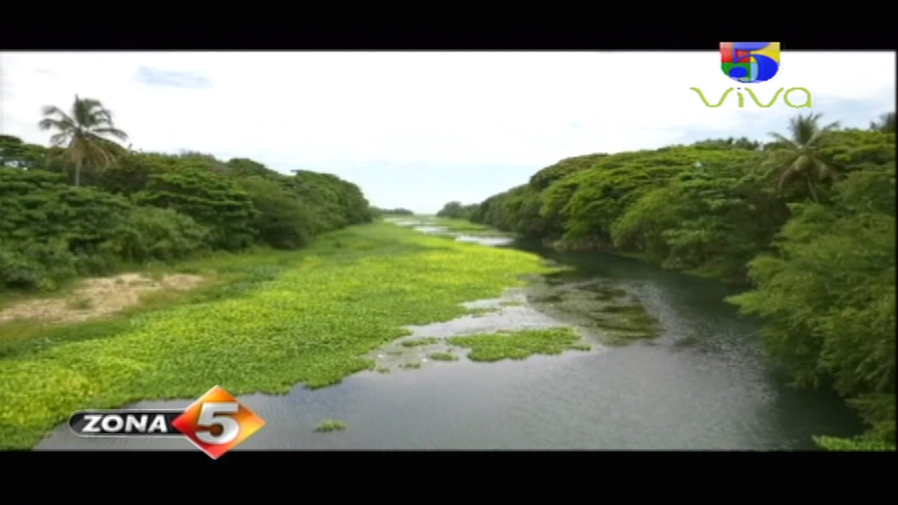La Preocupante Situación Que Tiene El Río Nigua En San Cristóbal