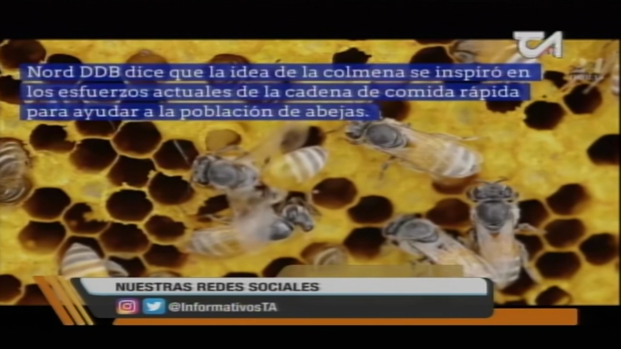 McDonald’s Abre Restaurante Para Abejas