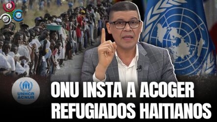 Ricardo Nieves: “ONU Quiere Que Se Dé Acogida A Refugiados, En Haití El 90% De Su Población Califica Para Refugiado”