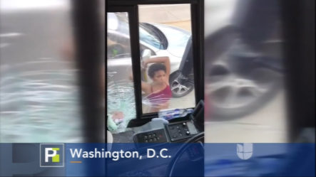 En Washington Una Mujer Destroza Salvajemente Cristales De Un Autobús Al Chocar Su Auto Por Detrás