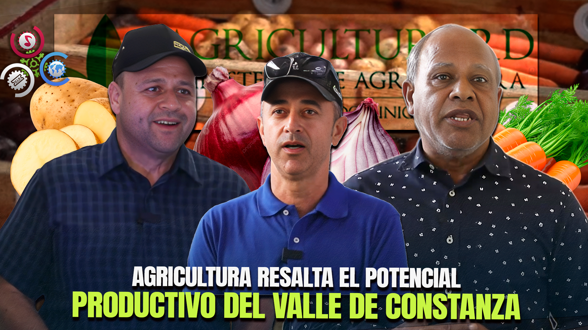 Agricultura Destaca Producción Récord De Zanahorias En Constanza Y Reafirma Respaldo Al Sector